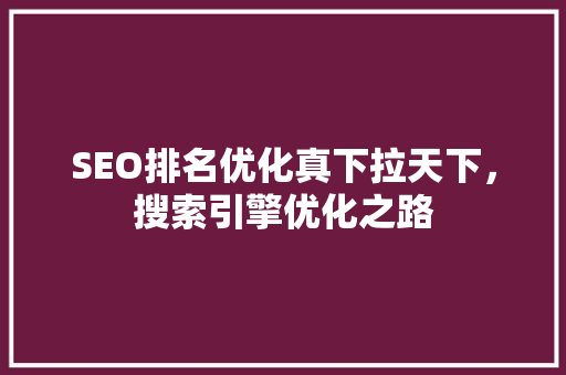 SEO排名优化真下拉天下，搜索引擎优化之路