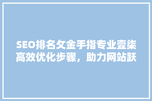 SEO排名攵金手指专业壹柒高效优化步骤，助力网站跃居搜索引擎前列