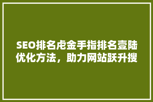 SEO排名虍金手指排名壹陆优化方法，助力网站跃升搜索引擎首位