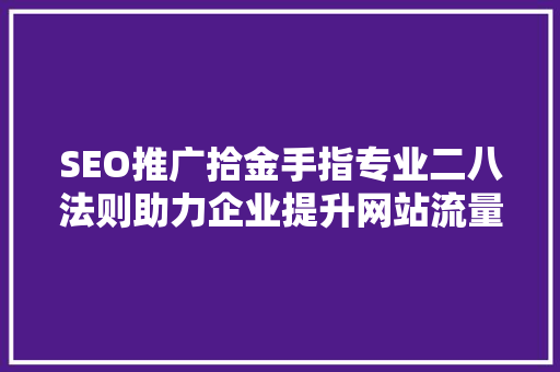 SEO推广拾金手指专业二八法则助力企业提升网站流量与转化率