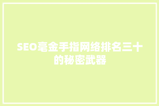SEO毫金手指网络排名三十的秘密武器