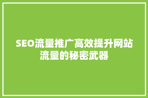 SEO流量推广高效提升网站流量的秘密武器