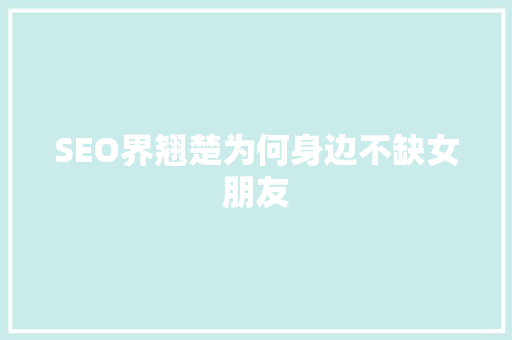 SEO界翘楚为何身边不缺女朋友
