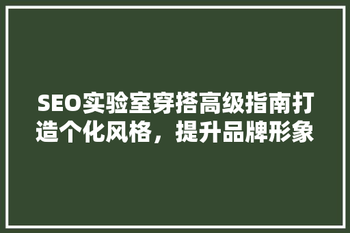 SEO实验室穿搭高级指南打造个化风格，提升品牌形象