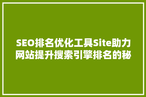 SEO排名优化工具Site助力网站提升搜索引擎排名的秘密武器