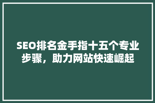 SEO排名金手指十五个专业步骤，助力网站快速崛起