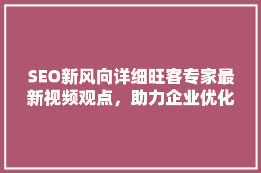 SEO新风向详细旺客专家最新视频观点，助力企业优化步骤