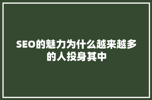 SEO的魅力为什么越来越多的人投身其中