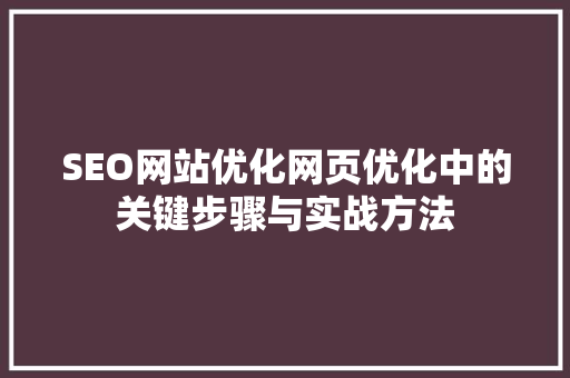 SEO网站优化网页优化中的关键步骤与实战方法