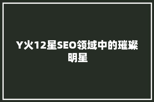 Y火12星SEO领域中的璀璨明星