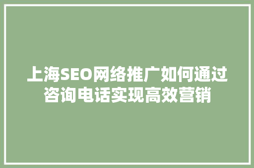 上海SEO网络推广如何通过咨询电话实现高效营销