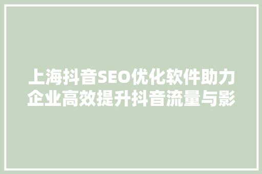 上海抖音SEO优化软件助力企业高效提升抖音流量与影响力