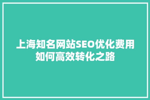 上海知名网站SEO优化费用如何高效转化之路