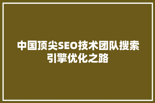 中国顶尖SEO技术团队搜索引擎优化之路