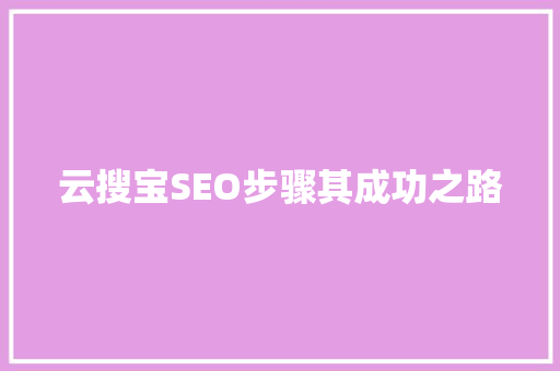 云搜宝SEO步骤其成功之路