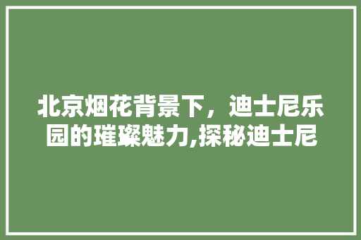 北京烟花背景下，迪士尼乐园的璀璨魅力,探秘迪士尼乐园的SEO优化之路