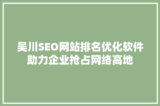 吴川SEO网站排名优化软件助力企业抢占网络高地