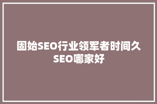 固始SEO行业领军者时间久SEO哪家好