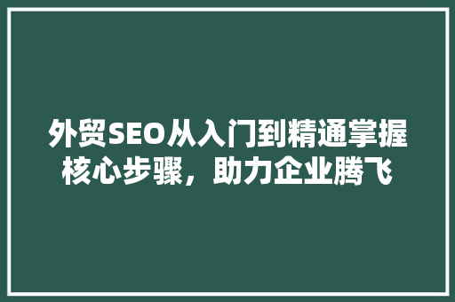 外贸SEO从入门到精通掌握核心步骤，助力企业腾飞