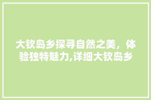 大钦岛乡探寻自然之美，体验独特魅力,详细大钦岛乡SEO网站推广步骤