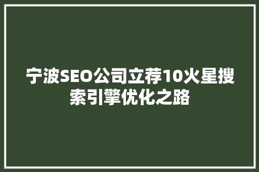 宁波SEO公司立荐10火星搜索引擎优化之路