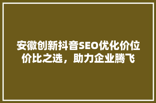 安徽创新抖音SEO优化价位价比之选，助力企业腾飞