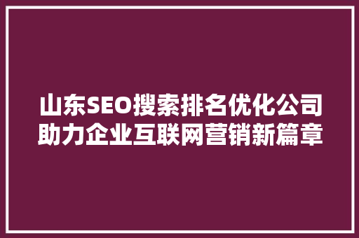 山东SEO搜索排名优化公司助力企业互联网营销新篇章