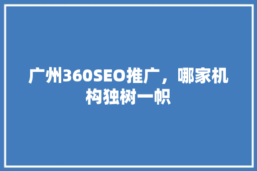 广州360SEO推广，哪家机构独树一帜