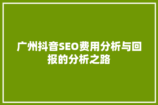 广州抖音SEO费用分析与回报的分析之路