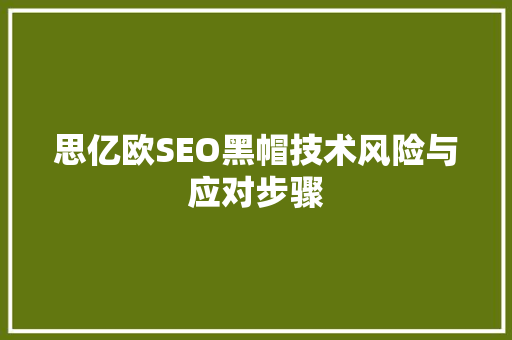 思亿欧SEO黑帽技术风险与应对步骤
