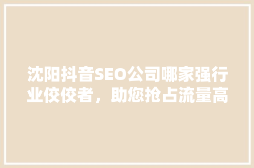 沈阳抖音SEO公司哪家强行业佼佼者，助您抢占流量高地