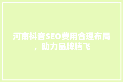 河南抖音SEO费用合理布局，助力品牌腾飞