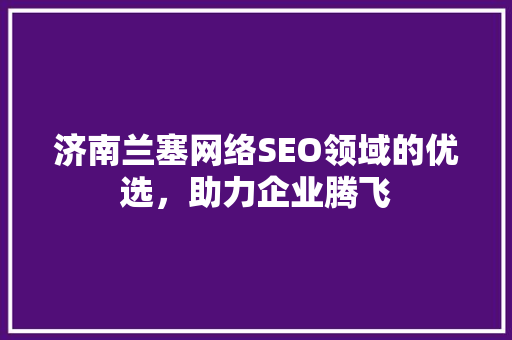 济南兰塞网络SEO领域的优选，助力企业腾飞