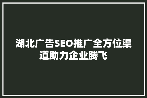 湖北广告SEO推广全方位渠道助力企业腾飞