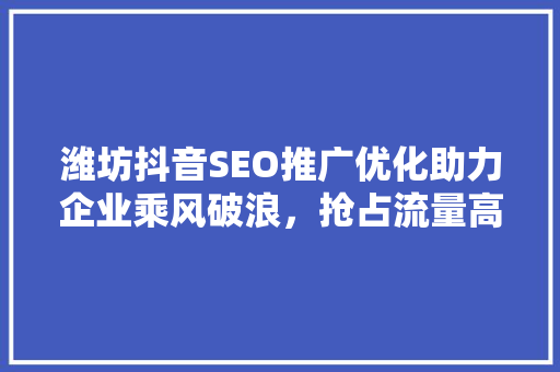 潍坊抖音SEO推广优化助力企业乘风破浪，抢占流量高地