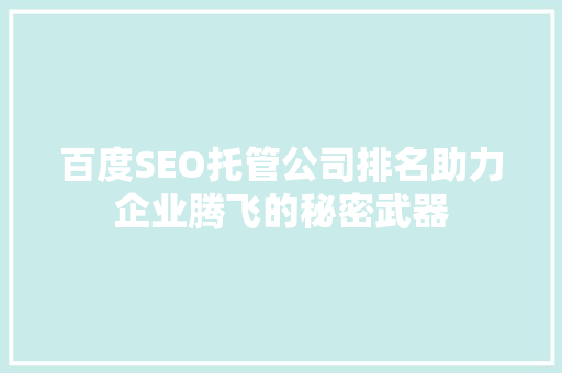 百度SEO托管公司排名助力企业腾飞的秘密武器  第1张