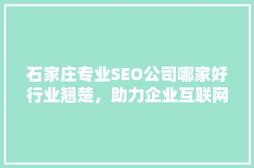 石家庄专业SEO公司哪家好行业翘楚，助力企业互联网腾飞