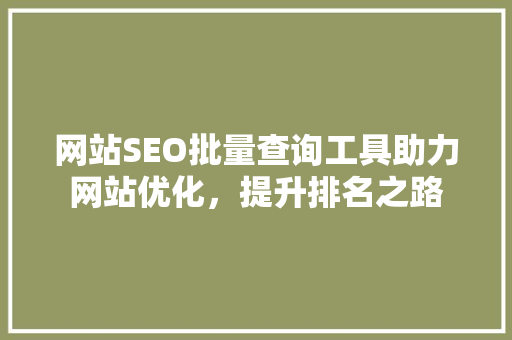 网站SEO批量查询工具助力网站优化，提升排名之路