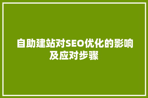 自助建站对SEO优化的影响及应对步骤