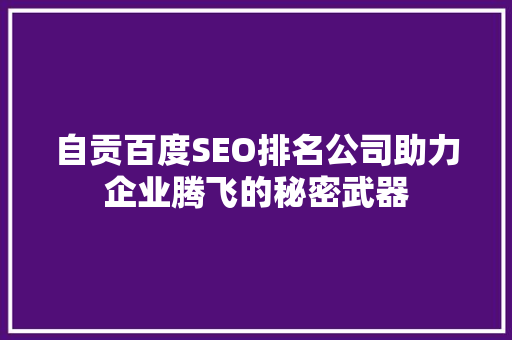 自贡百度SEO排名公司助力企业腾飞的秘密武器