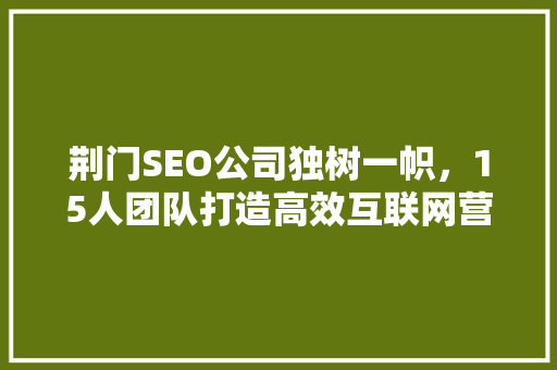 荆门SEO公司独树一帜，15人团队打造高效互联网营销步骤