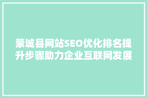 蒙城县网站SEO优化排名提升步骤助力企业互联网发展新篇章