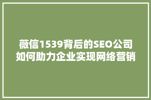 薇信1539背后的SEO公司如何助力企业实现网络营销突破