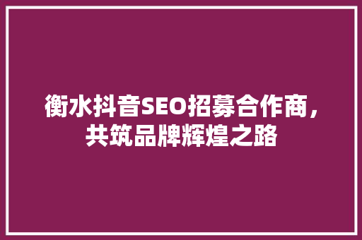 衡水抖音SEO招募合作商，共筑品牌辉煌之路