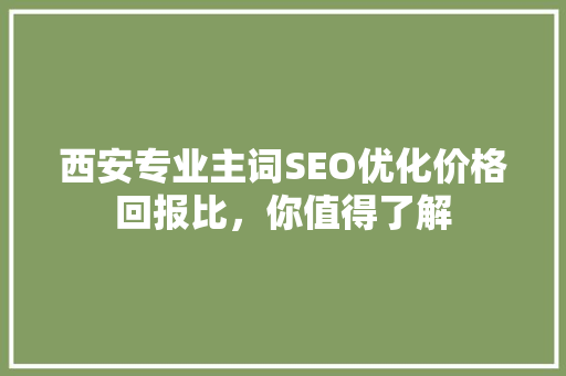 西安专业主词SEO优化价格回报比，你值得了解
