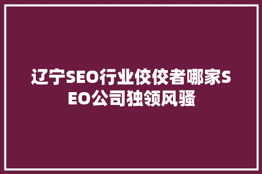 辽宁SEO行业佼佼者哪家SEO公司独领风骚