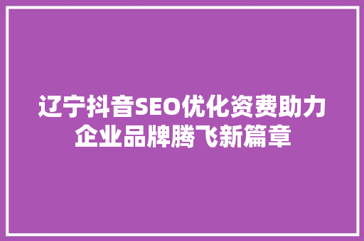 辽宁抖音SEO优化资费助力企业品牌腾飞新篇章