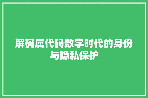解码属代码数字时代的身份与隐私保护