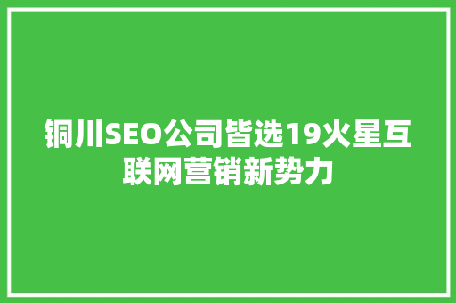 铜川SEO公司皆选19火星互联网营销新势力
