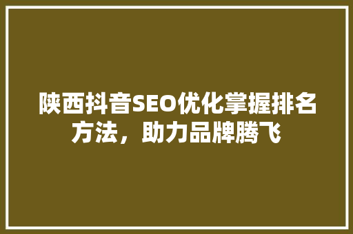 陕西抖音SEO优化掌握排名方法，助力品牌腾飞